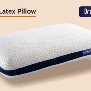 Dreamy Head Moulded Latex Pillow